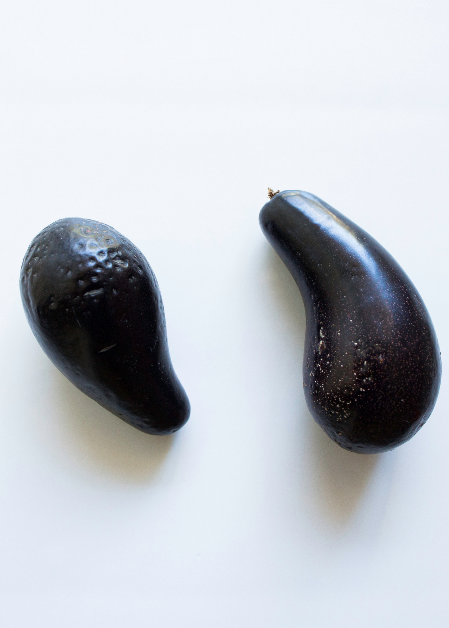 Mexicola avocado fruit pair from Persea americana with dark purple glossy skin on Tampa Home & Garden Store