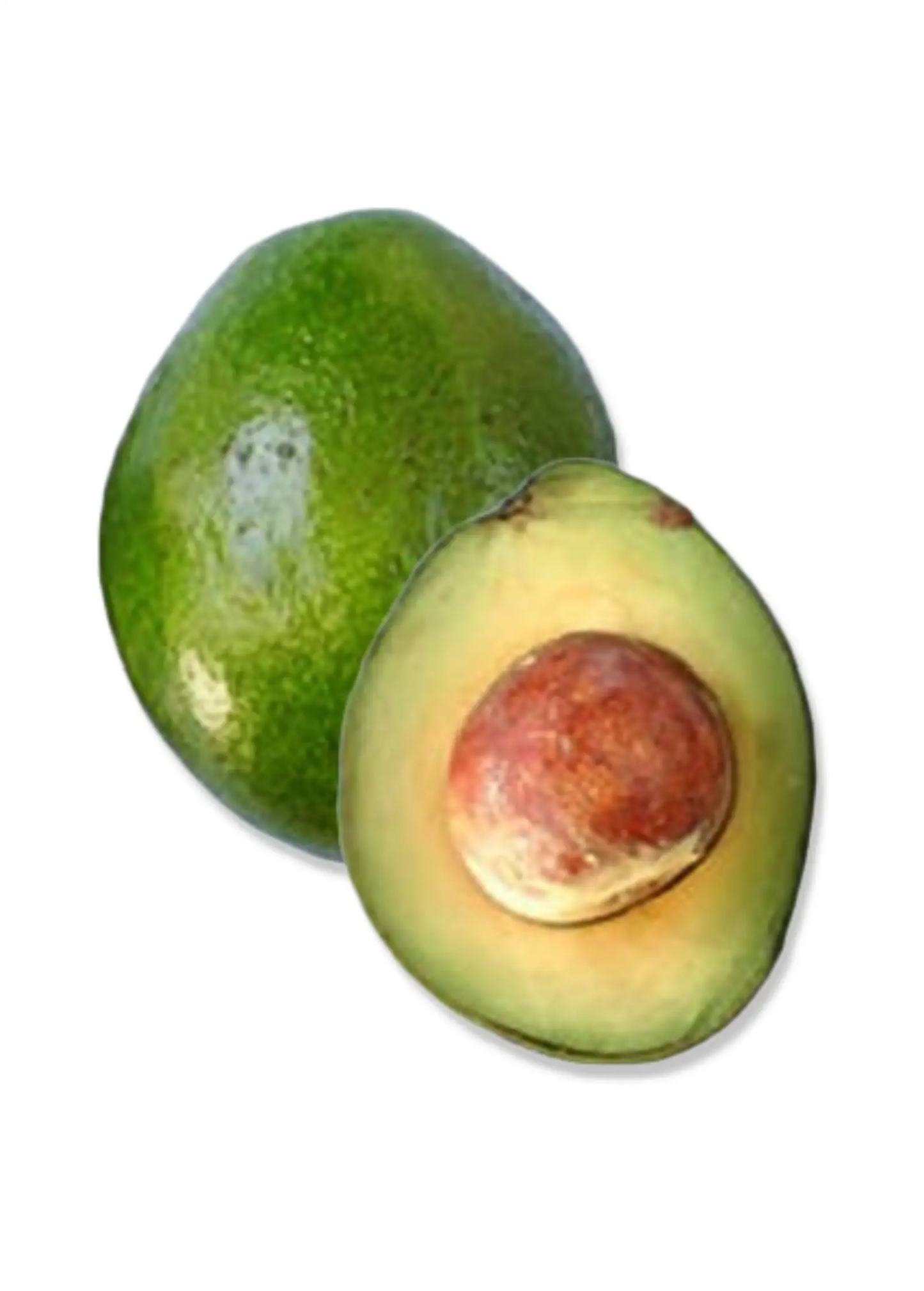 Monroe avocado fruit ripe green avocados, halved to show creamy flesh and brown seed on Tampa Home & Garden Store