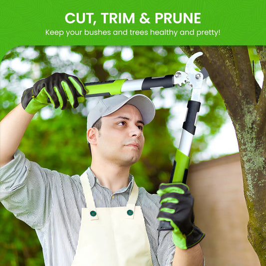 Sécateur de jardin à alimentation sans fil, taille-arbres