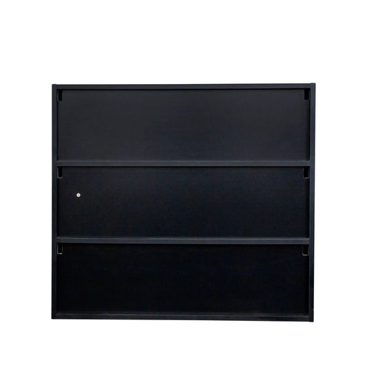 Black glass door shoe cabinet with RGB light on Tampa Home & Garden Store