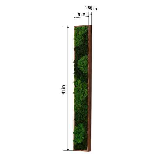 Rectangular Mixed Moss Wall Art Medium in wood frame with lush green moss by VIP Digital Presence on Tampa Home & Garden Store