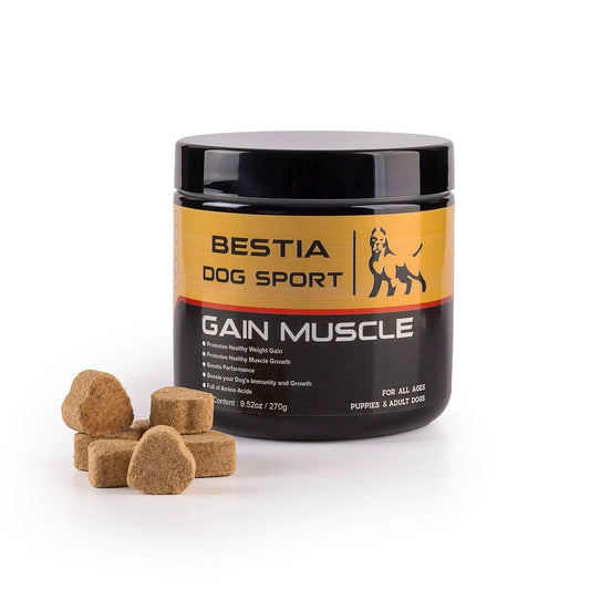 BDS Gain Muscle dog supplement jar by Bestia Dog Gear with orange label and dog icon on Tampa Home & Garden Store