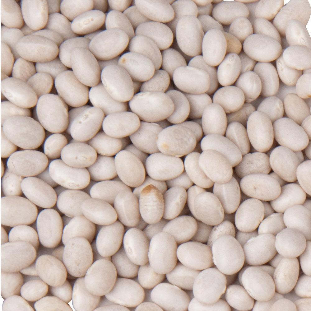 Navy bean seeds white oval beans close-up Seedtime Store on Tampa Home & Garden Store