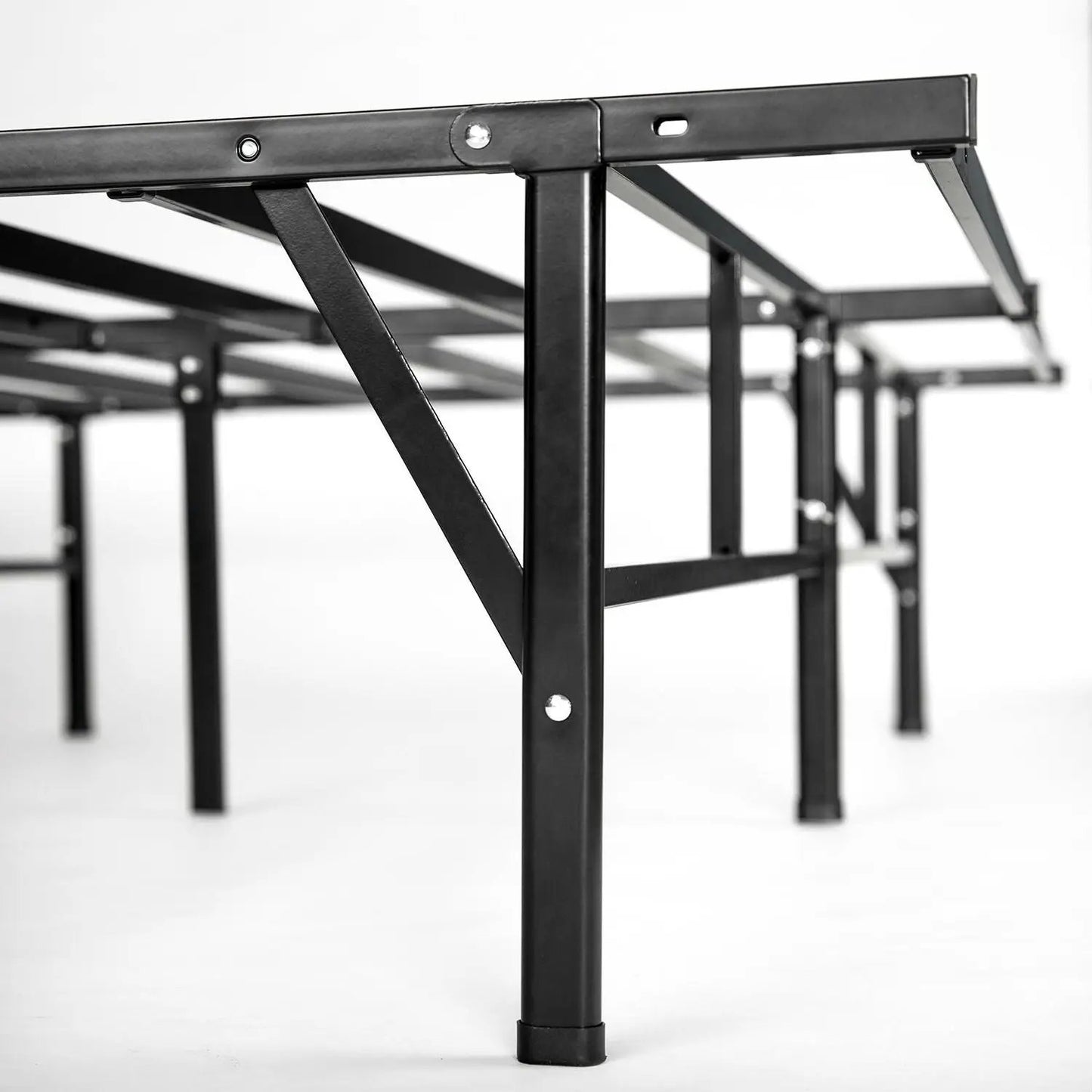 - image on Tampa Home & Garden Store