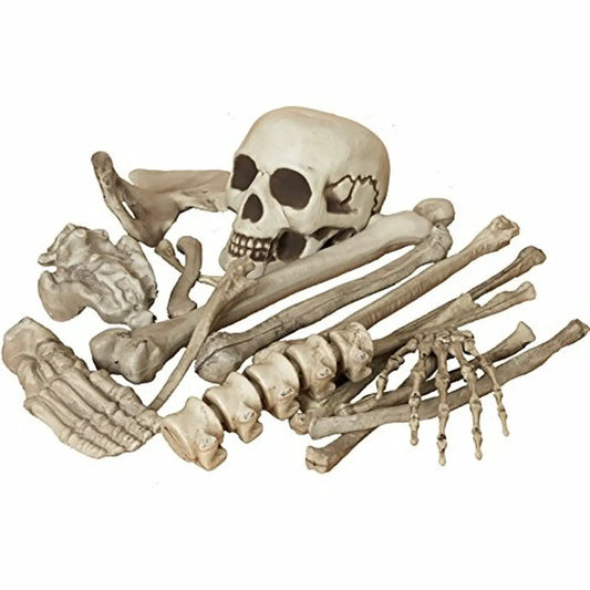 Bag of Skeleton Bones 18 Piece Plastic skulls and bones set on Tampa Home & Garden Store