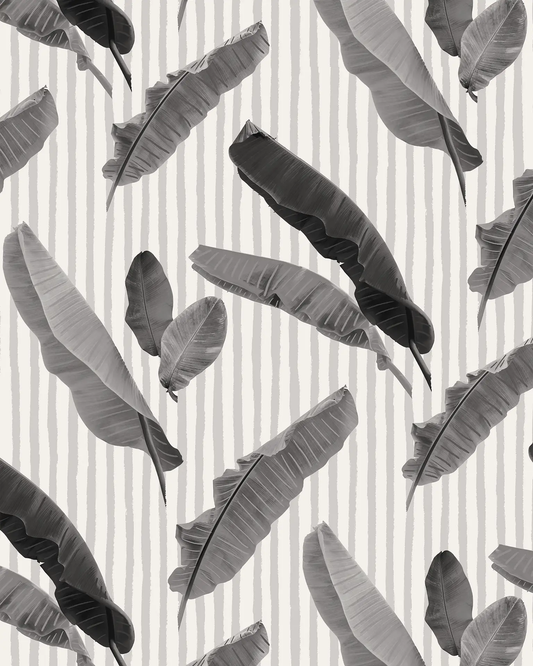 Banana Cabana wallpaper black and white tropical banana leaves over striped background on Tampa Home & Garden Store