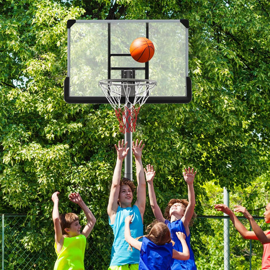 Basketball Hoop adjustable height 50in backboard with clear panel and black rim on Tampa Home & Garden Store