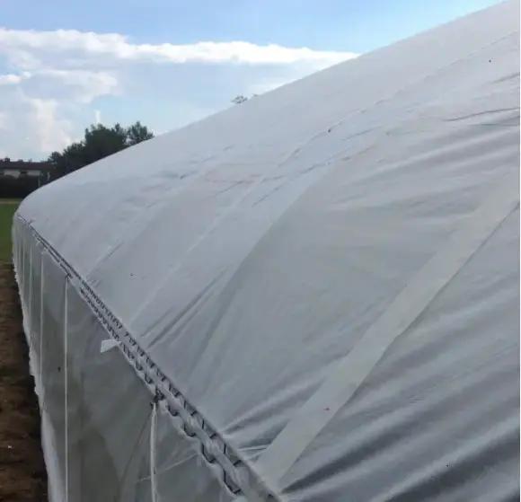 Batten Strap for Woven Plastic Greenhouse, white greenhouse cover secured along edge on Tampa Home & Garden Store