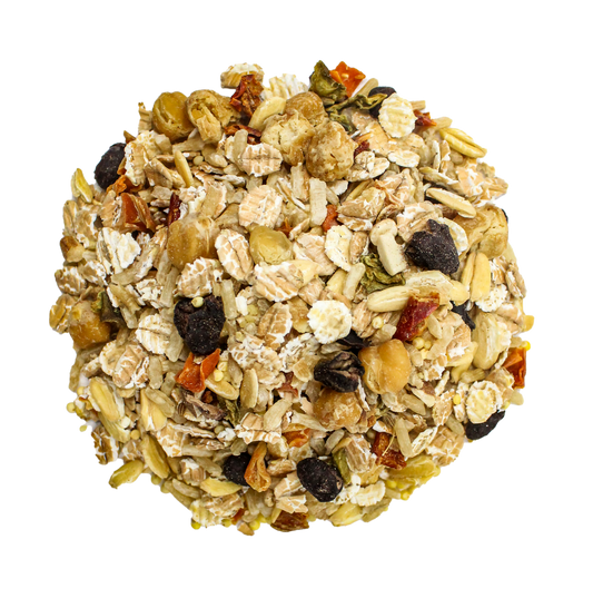 Bean Bistro Feast on the Fly - Tampa Home & Garden Store