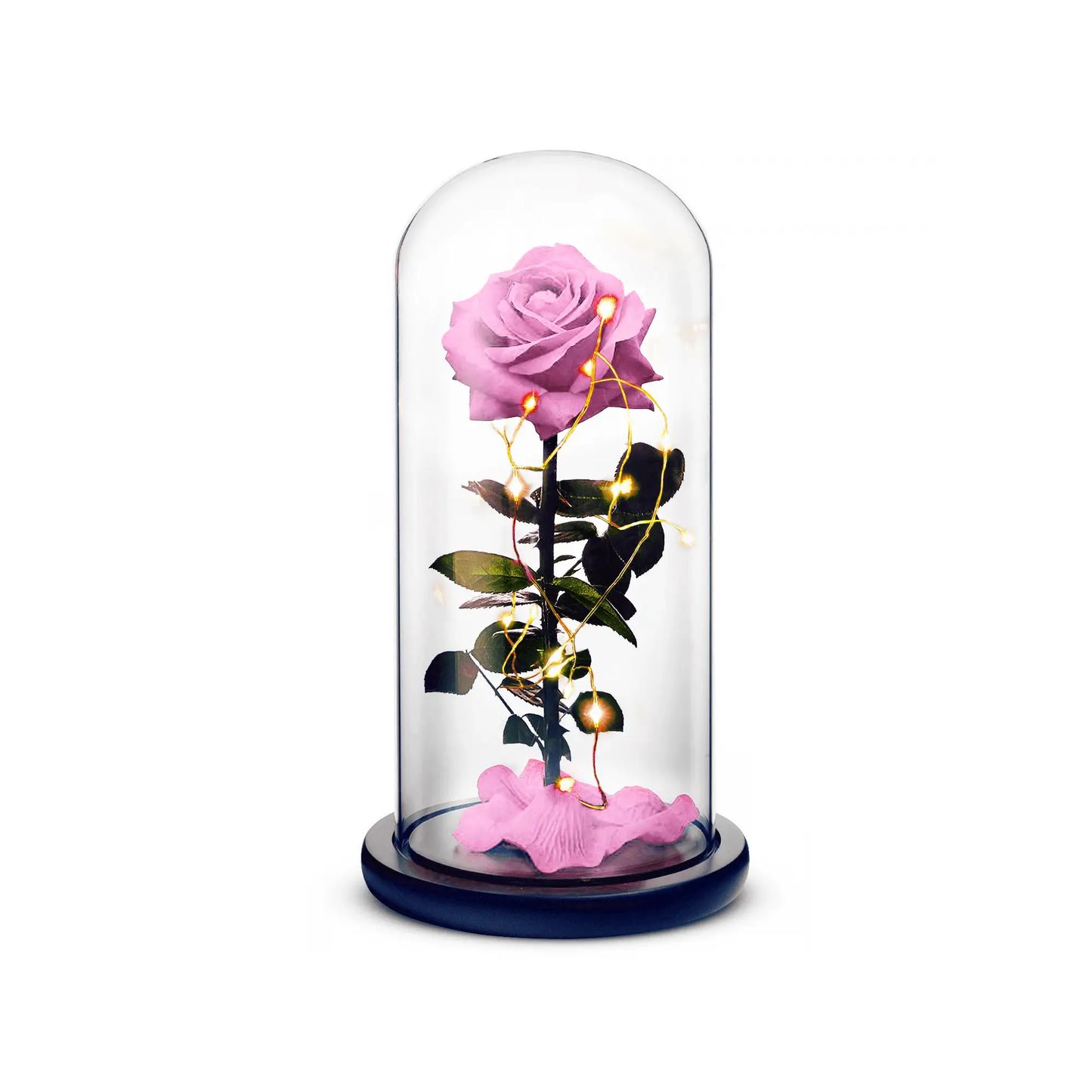 Beauty and Beast Pink Everlasting Rose under glass dome with warm string lights ROSEPHORIA on Tampa Home & Garden Store