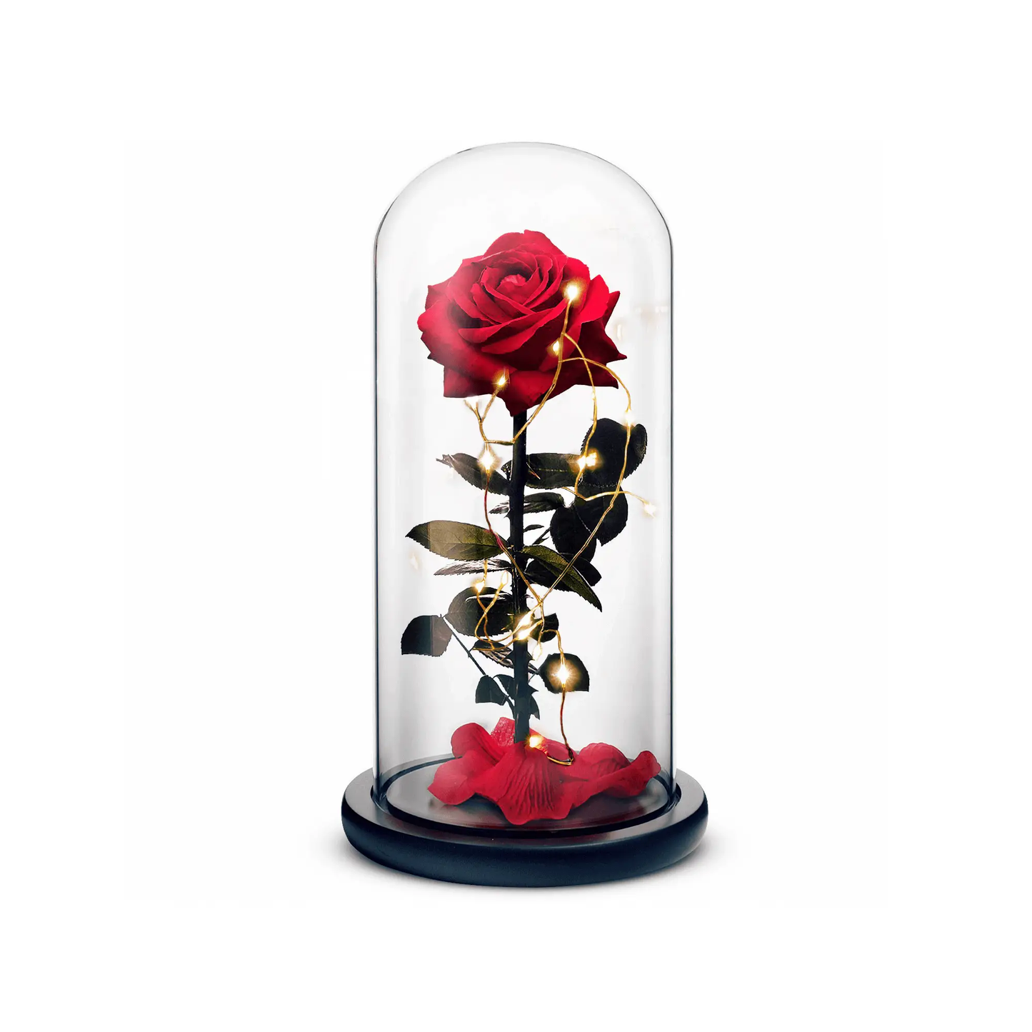 ROSEPHORIA Beauty and the Beast Everlasting Rose Red under glass dome with lights on Tampa Home & Garden Store