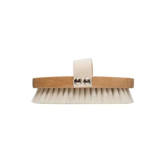 Beech wood bath brush with elastic band, natural bristles, White Cliff Studio on Tampa Home & Garden Store