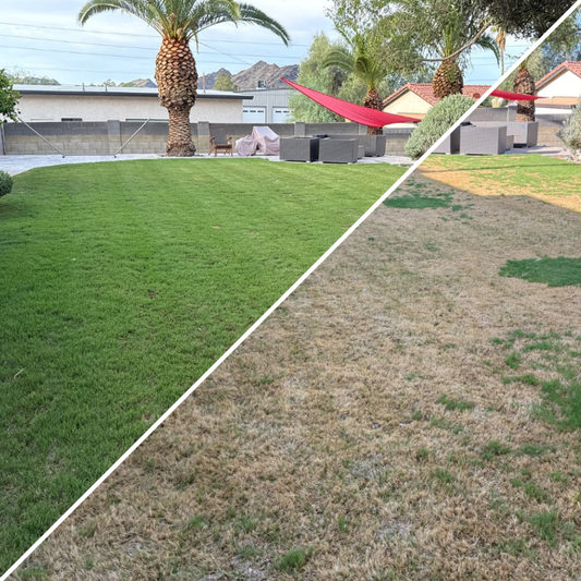 Pack Économiseur de Sol