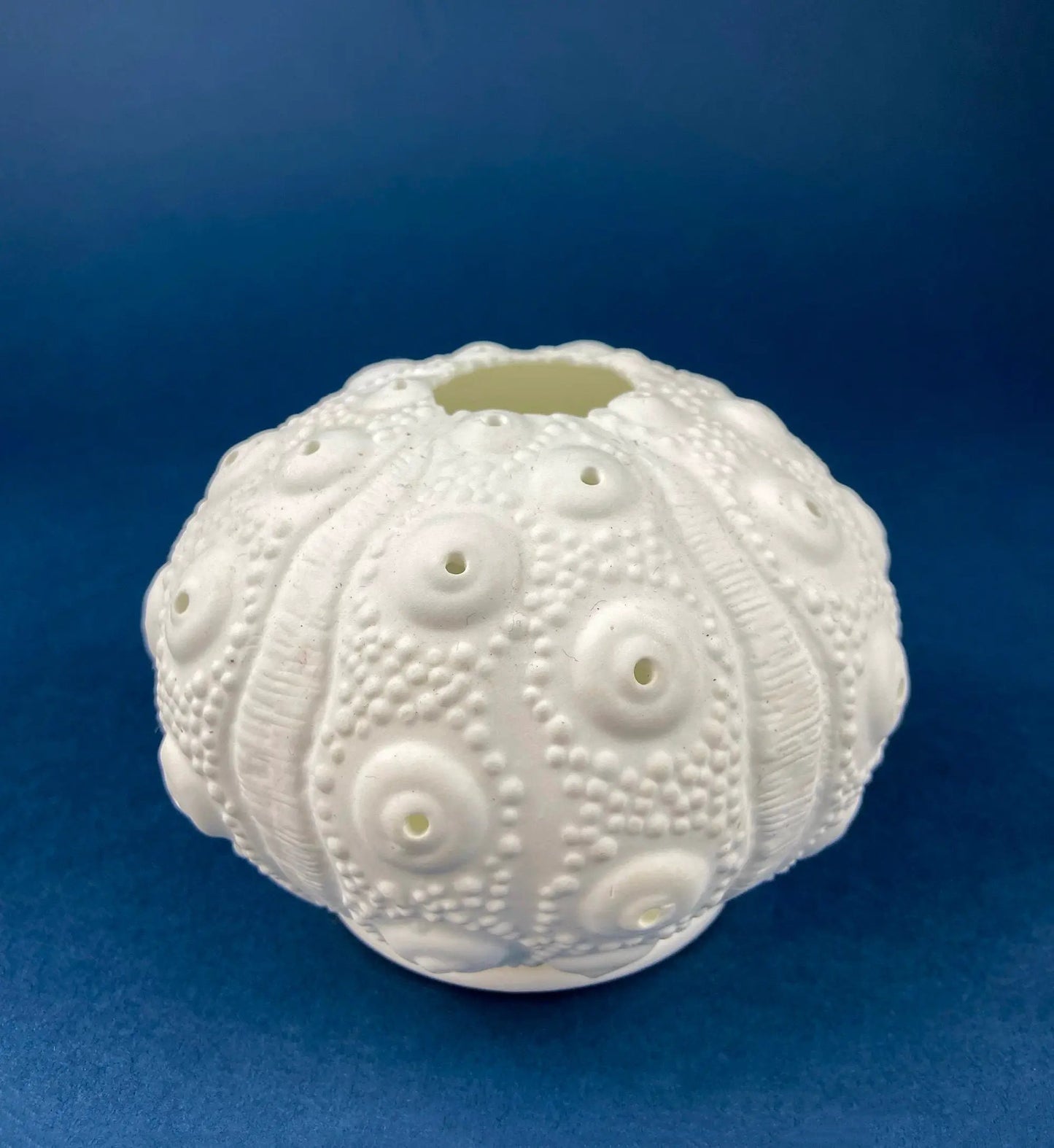 Belleek white porcelain sea shell pattern item with textured shell surface on Tampa Home & Garden Store