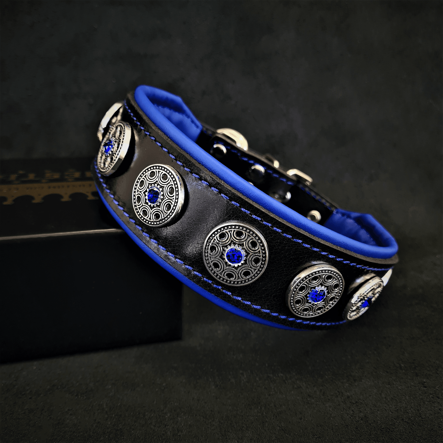 Bijou Collar black leather by Bestia Dog Gear with blue lining and silver conchos on Tampa Home & Garden Store