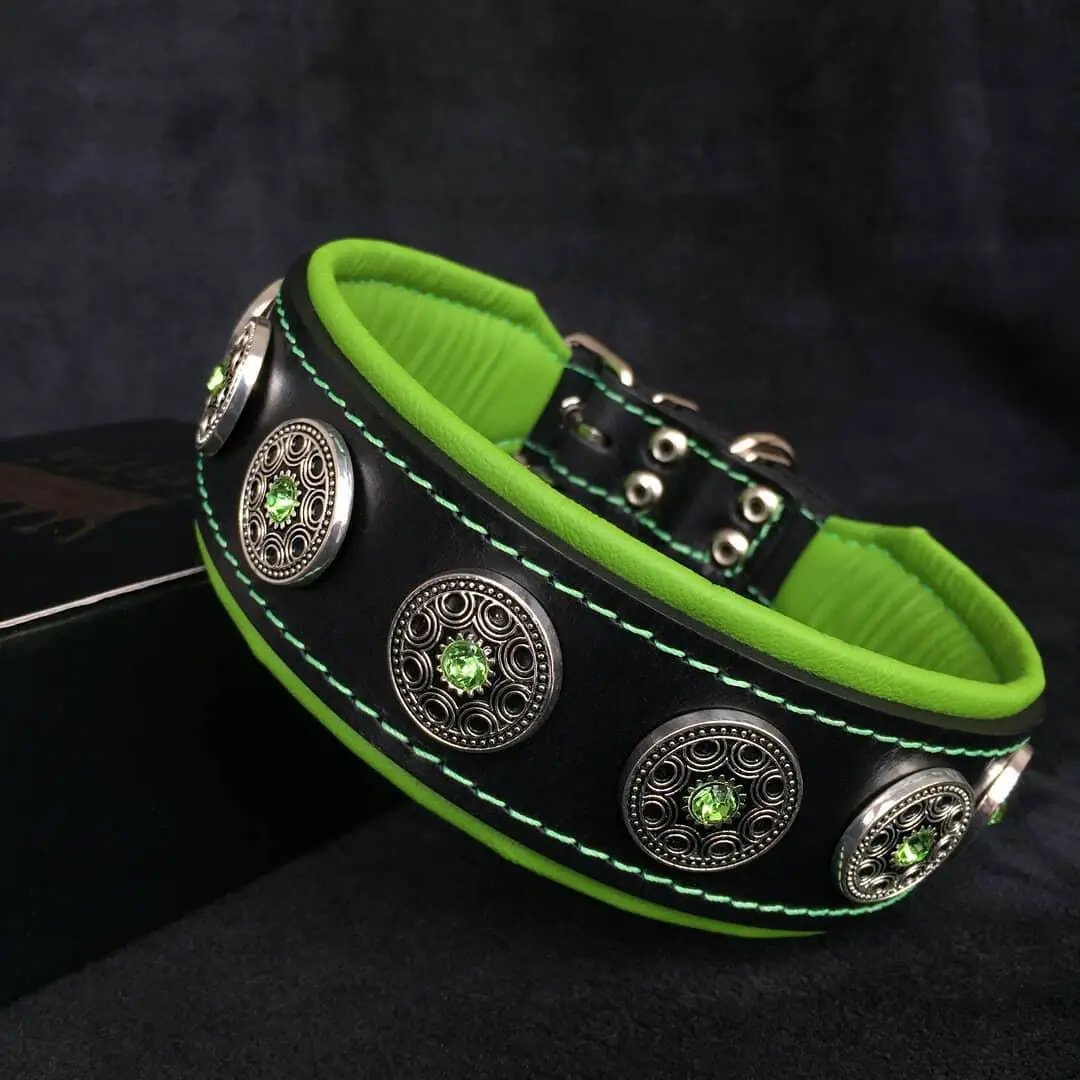 Bijou black leather collar with lime-green lining and four decorative silver conchos Bestia Dog Gear on Tampa Home & Garden Store