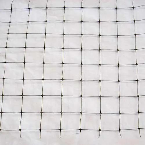 Bird netting for crops, black square-mesh grid, 14 ft by 45 ft, pest control on Tampa Home & Garden Store