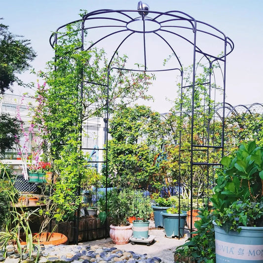 Birdcage Gazebo black metal frame for climbing plants ideal garden decor DirectDeals on Tampa Home & Garden Store