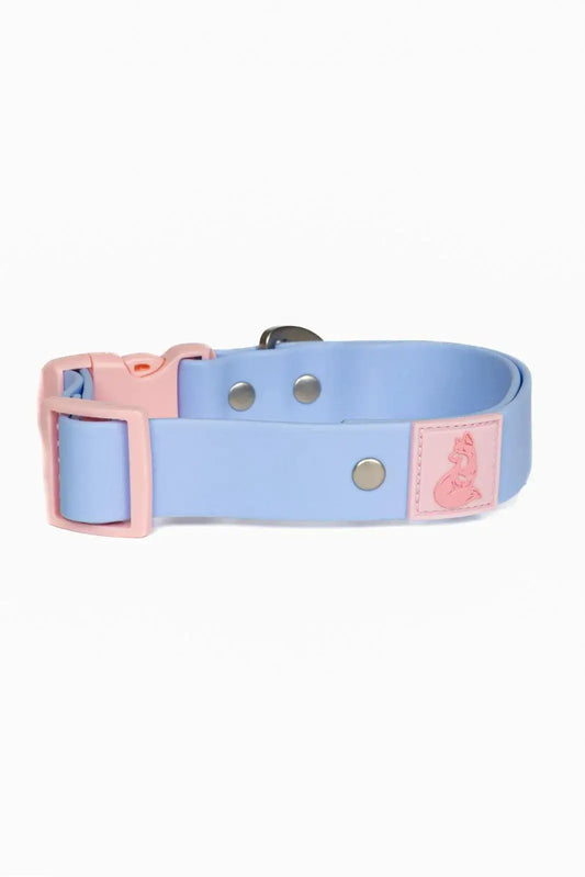 Blue Sky Orchid Waterproof Dog Collar - Tampa Home & Garden Store