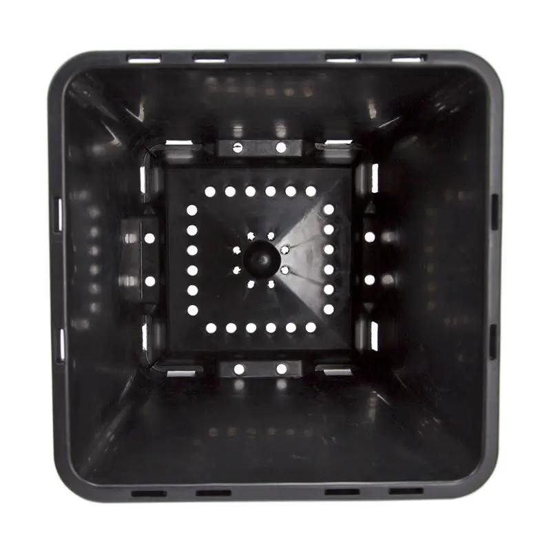Blueberry Pot 12-inch square planter, black plastic with perforated base on Tampa Home & Garden Store