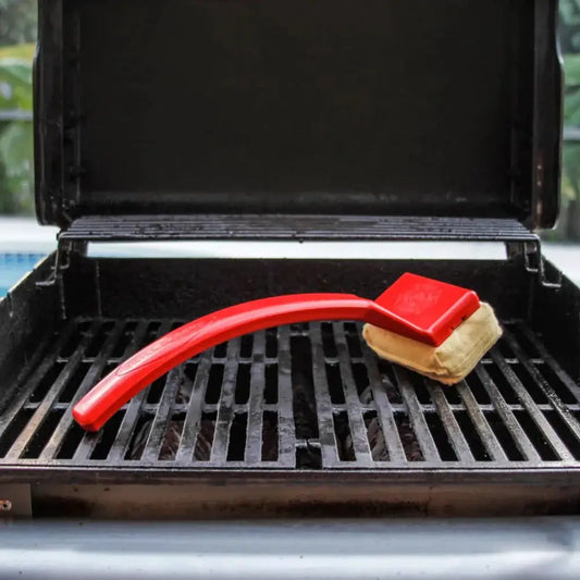 Bristle-Free Grill Steam Cleaner Brush with Long Handle - Tampa Home & Garden Store