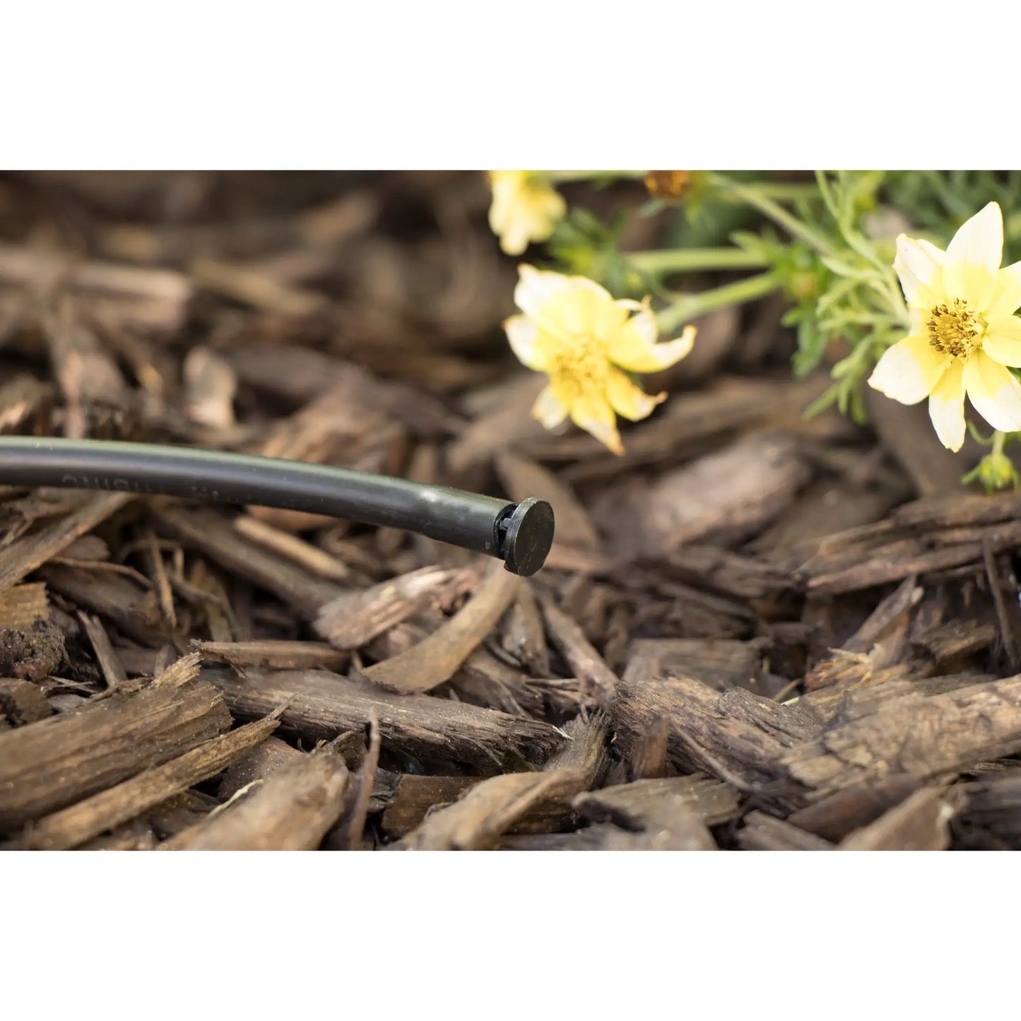 Drip Insect Plug for Quarter Inch Tubing, 25 Pack by Orbit Irrigation for drip systems on Tampa Home & Garden Store