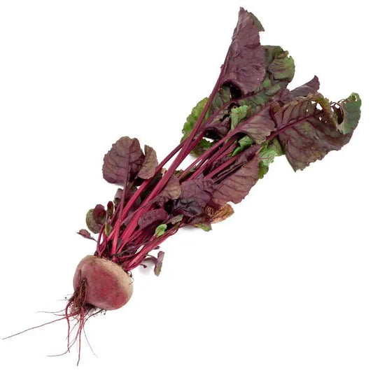 Bull's Blood Beet Seeds Organic with red stems and purple-green leaves beet root visible on Tampa Home & Garden Store