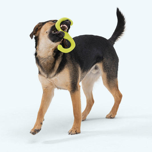 Bumi Ruby Stretch Toy for Gentle Chewers