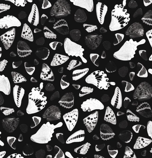 Butterfly Terrazzo Wallpaper, black & white - Tampa Home & Garden Store