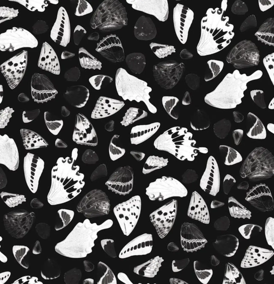 Wallpaper Butterfly Terrazzo Black and White pattern by Samantha Santana Creative on Tampa Home & Garden Store