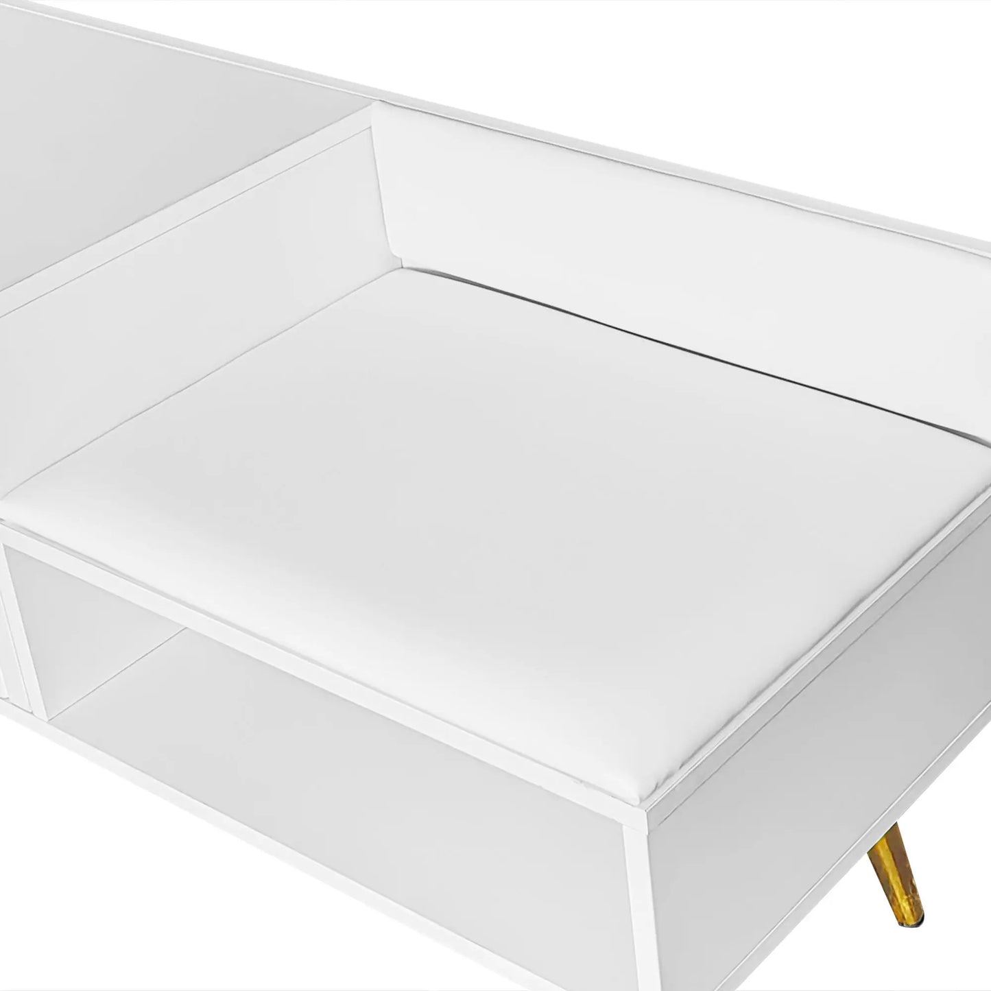 Modern shoe storage bench with hidden storage, white upholstery, gold legs on Tampa Home & Garden Store