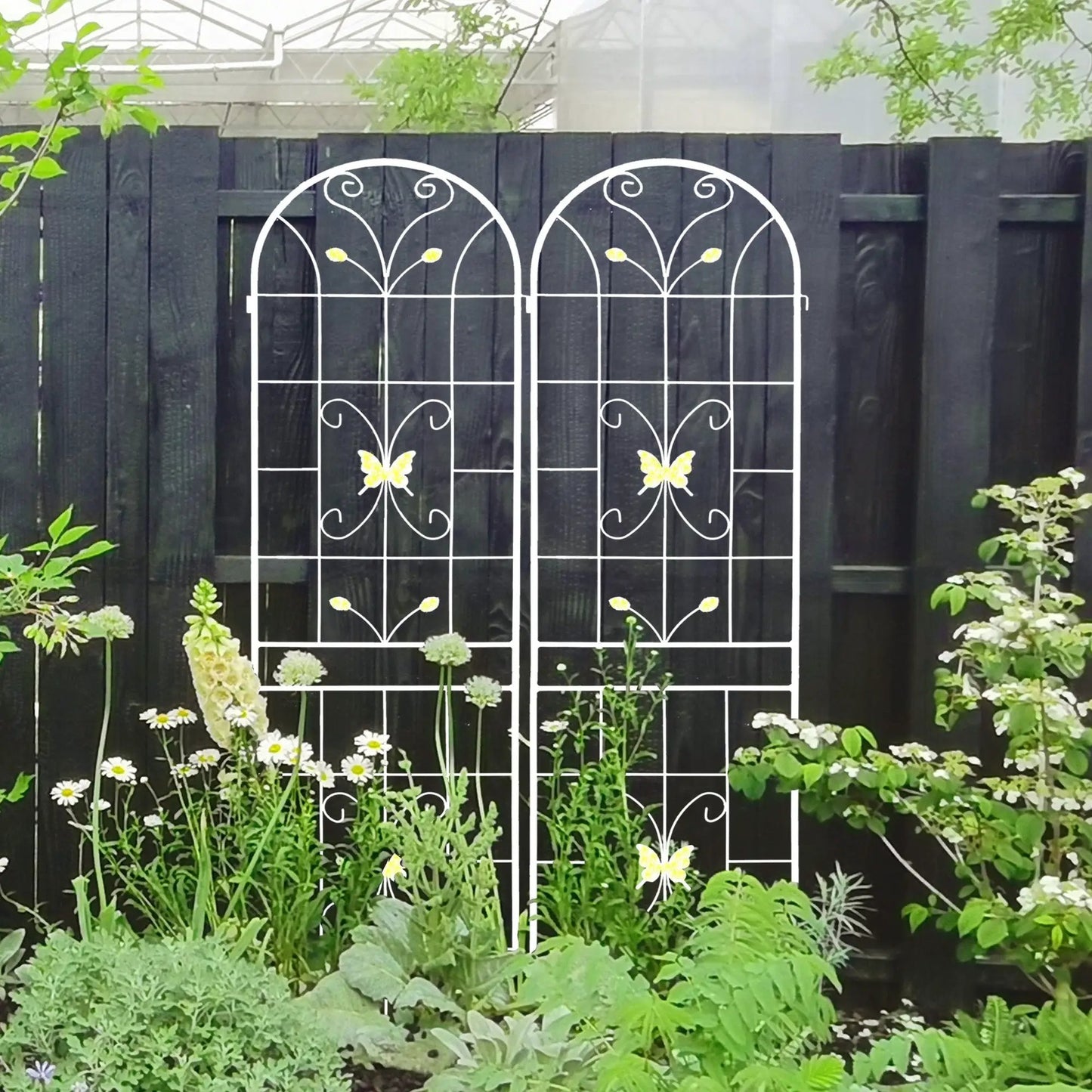 2-pack cream white metal garden trellises with arch tops and butterfly accents on Tampa Home & Garden Store