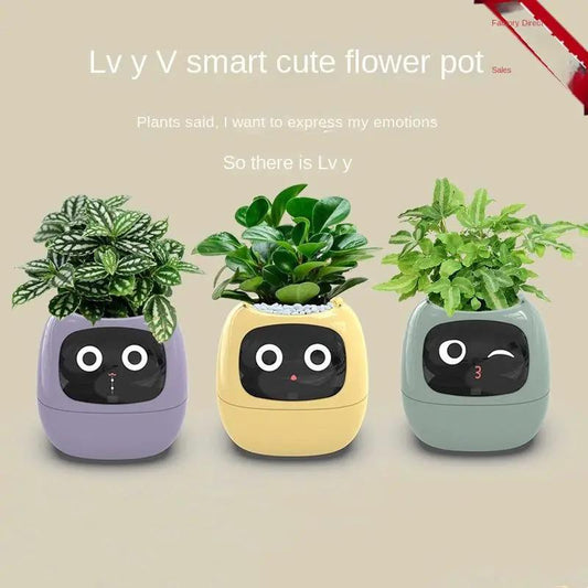 USB Auto Absorbent Planter set of 3 pastel PP resin pots with robot-face pots and leafy greens on Tampa Home & Garden Store