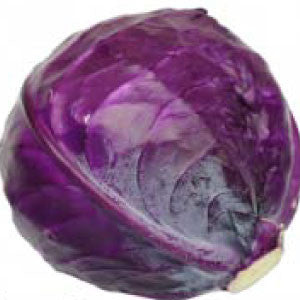 CABBAGE Seeds, Red Acre - Tampa Home & Garden Store