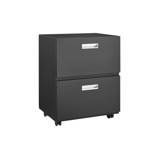 Black steel 2-door office copier cabinet on casters on Tampa Home & Garden Store
