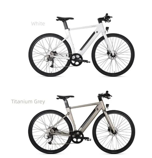 BIKES Citi Air E Bike City Commuting two Citi Air E Bikes white and titanium grey by MagicCycling on Tampa Home & Garden Store