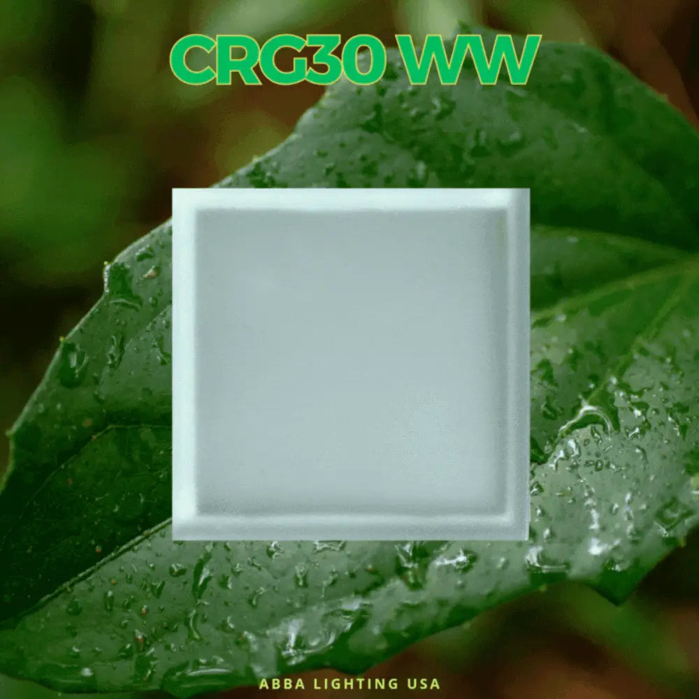 In Ground Paver Light Square CRG30 RGBW LED brick light by Kings Outdoor Lighting on Tampa Home & Garden Store