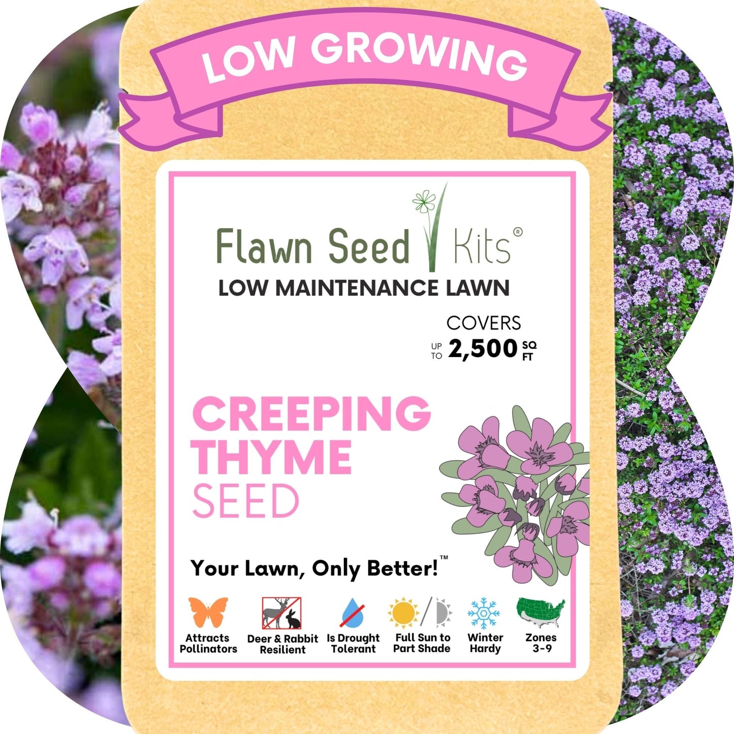 Creeping Thyme Seed Pouch from Flawn Seed Kits, low maintenance lawn seed for 2500 sq ft on Tampa Home & Garden Store