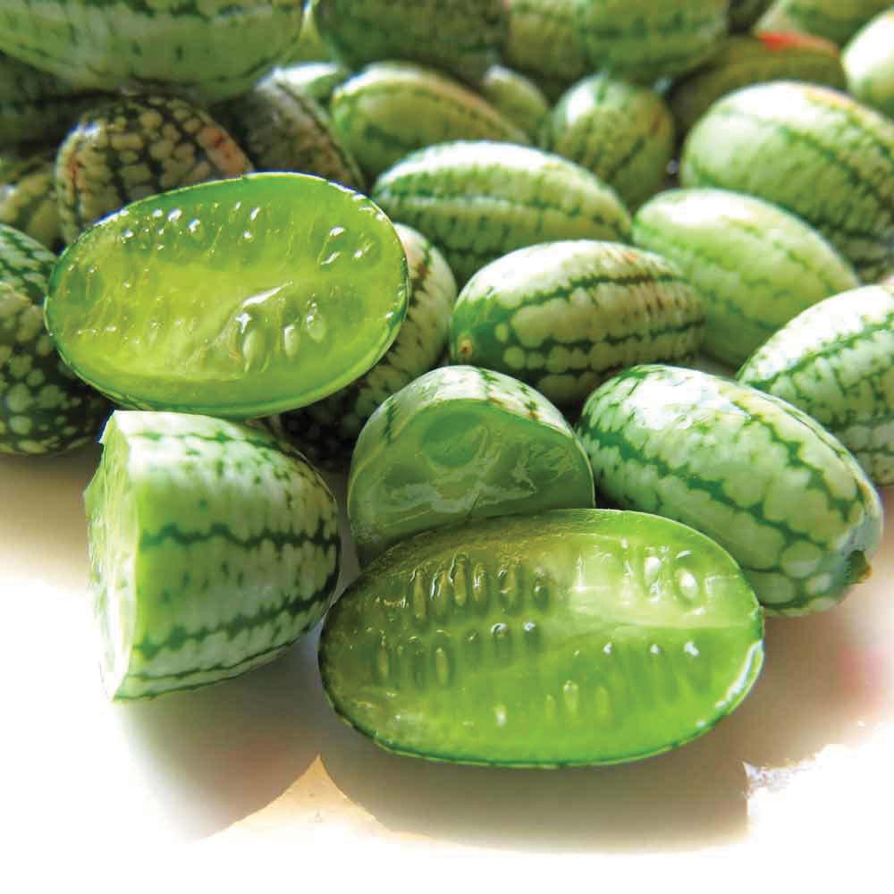 Cucamelon Mexican Sour Gherkin seeds group of small striped green oval fruits on Tampa Home & Garden Store