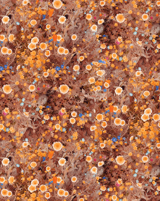 Cali Flowers Wallpaper Golden Hour Art, orange daisies with blue accents in a floral pattern on Tampa Home & Garden Store