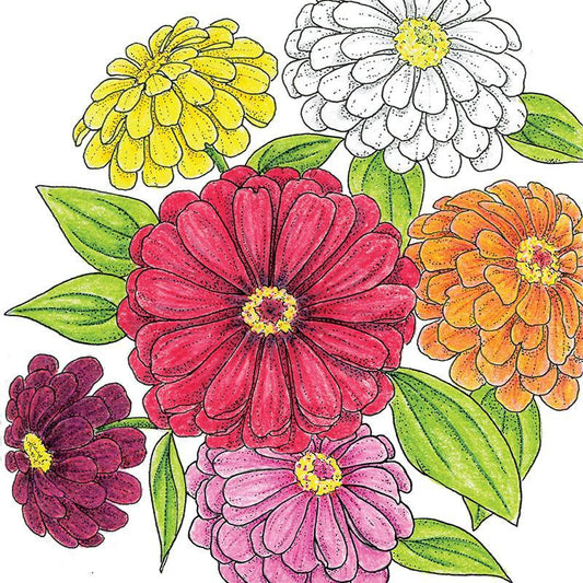 California Giants Zinnia Seeds (Organic) - Tampa Home & Garden Store