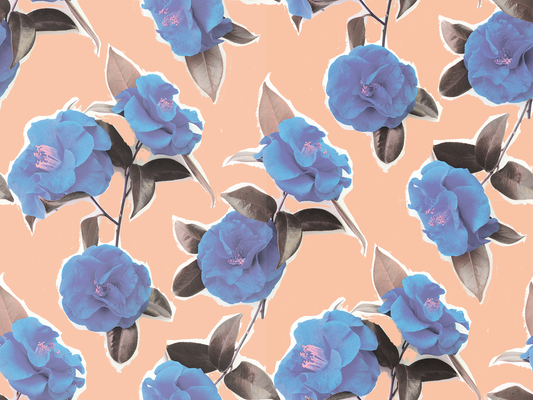 Camellia wallpaper Cotton Candy Peel & Stick Samantha Santana camellias on peach backdrop on Tampa Home & Garden Store
