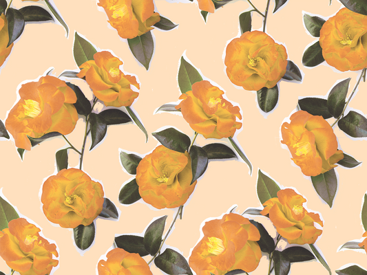 Camellia wallpaper Peach Floral with orange blooms and green leaves on peach background on Tampa Home & Garden Store