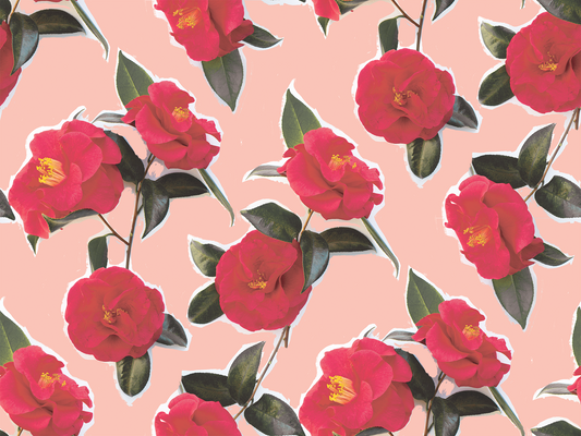 Camellia wallpaper pink with peel and stick floral pattern by Samantha Santana Creative on Tampa Home & Garden Store