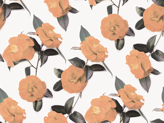 Camellia wallpaper by Samantha Santana Creative with orange blossoms and green leaves on Tampa Home & Garden Store