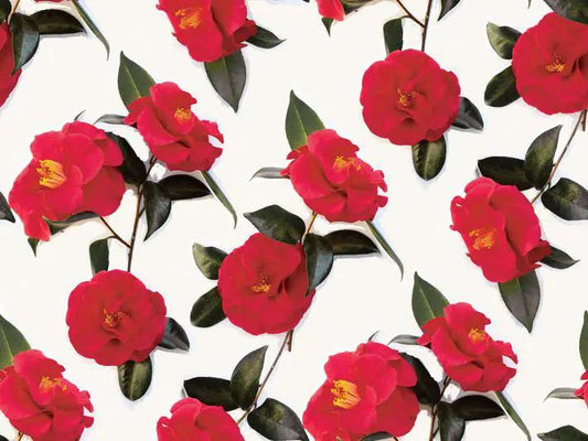 Camellia wallpaper pattern in white and red with green leaves by Samantha Santana Creative on Tampa Home & Garden Store