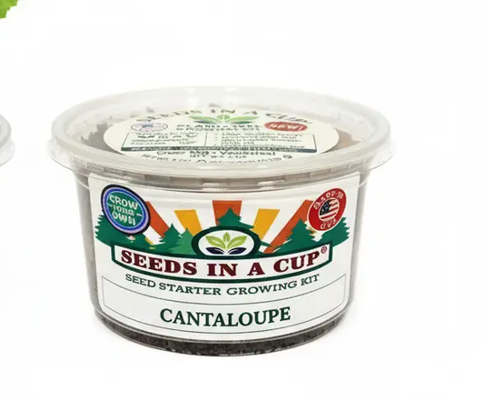 Cantaloupe seed starter kit in a clear cup by Seeds In A Cup with cantaloupe label on Tampa Home & Garden Store