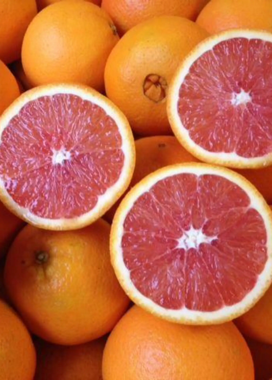 Cara Cara Red Navel orange fruit halves with ruby flesh and orange rind on Tampa Home & Garden Store