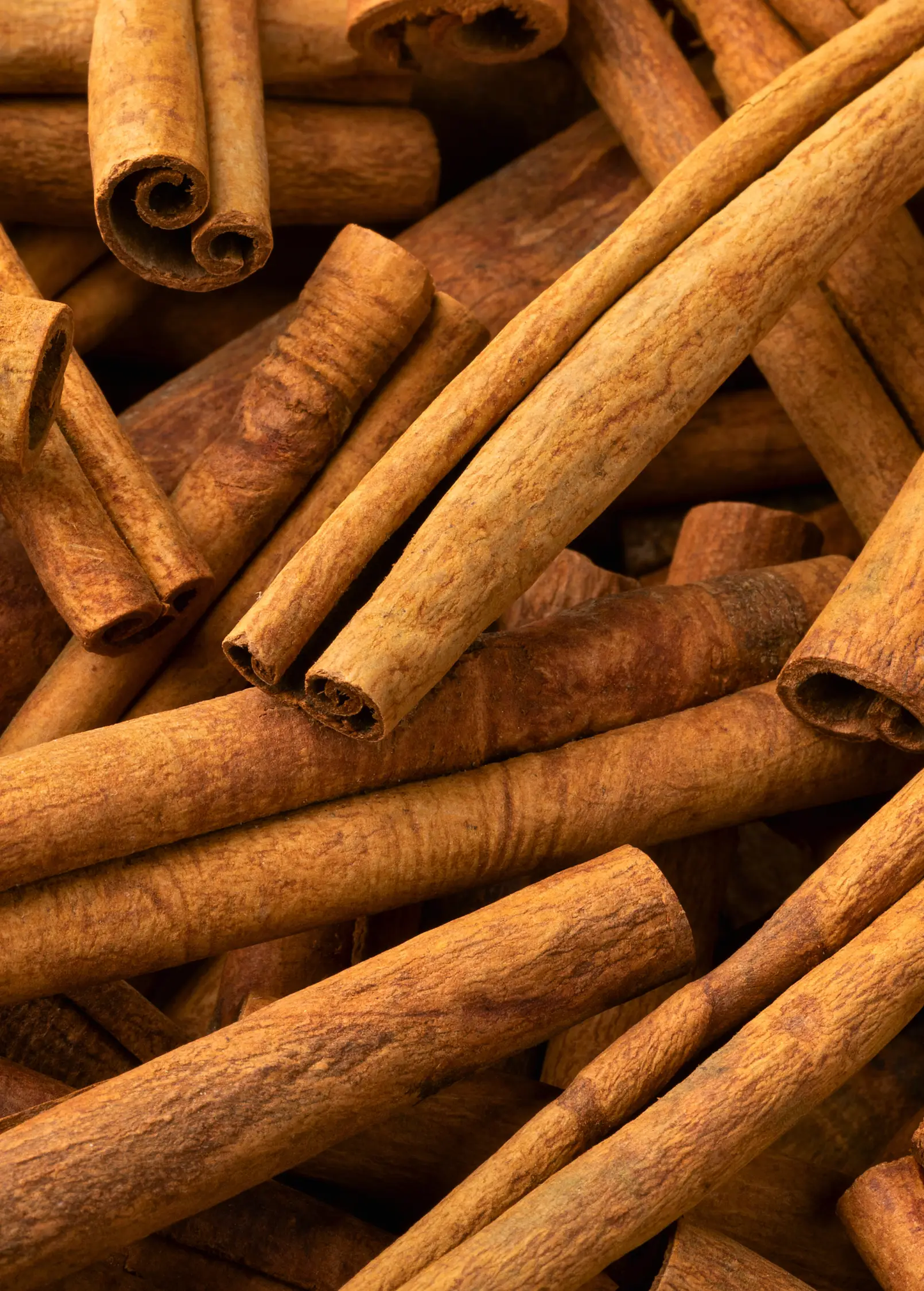 Cassia cinnamon bark sticks in warm brown tones, whole cinnamon quills on Tampa Home & Garden Store