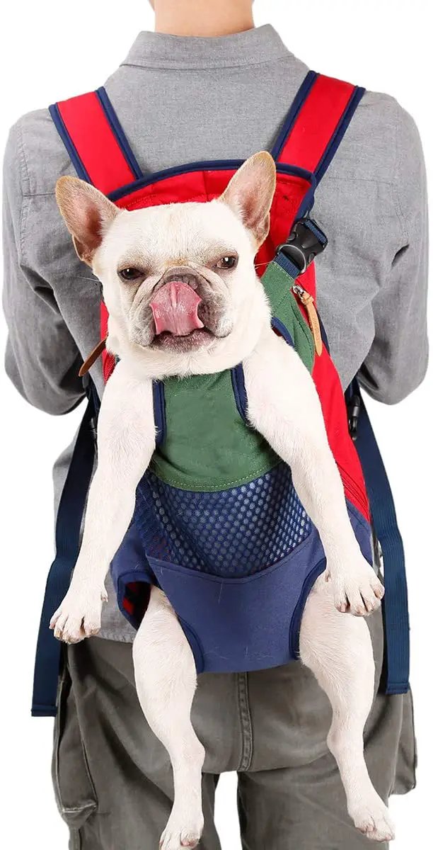 Front Facing Cat and Dog Carrier Backpack red blue with mesh pocket on Tampa Home & Garden Store